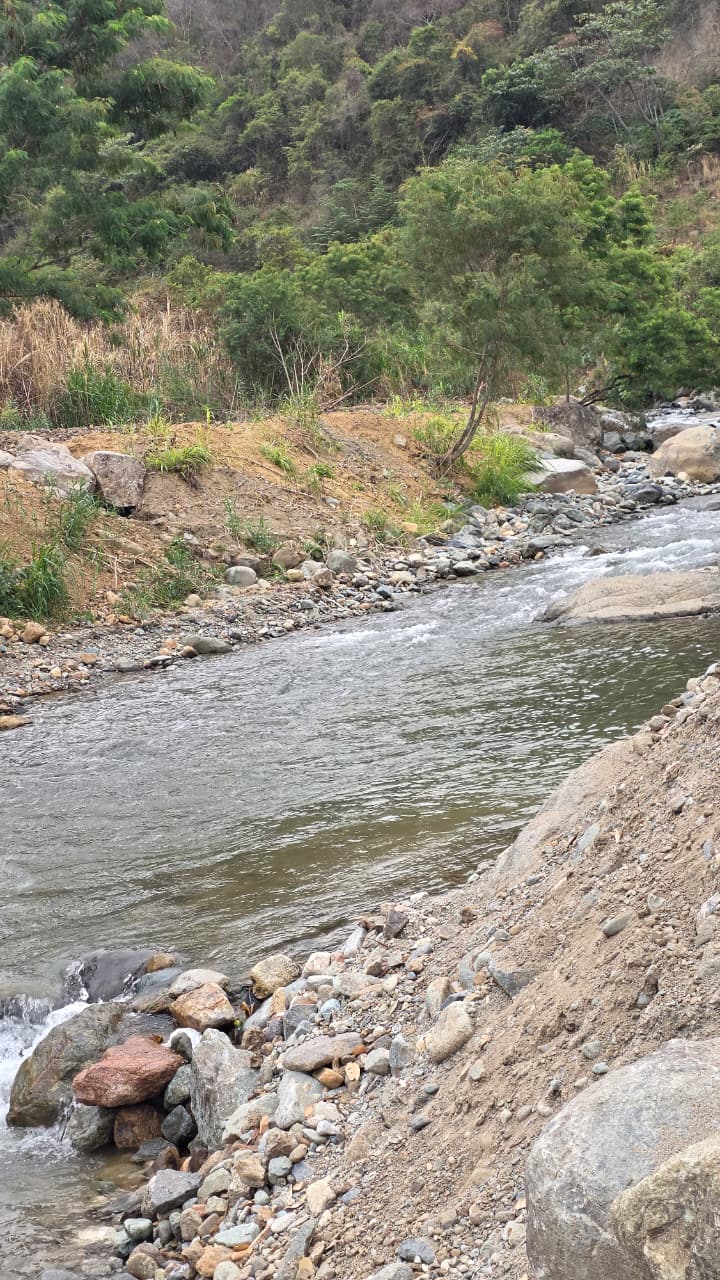 Orilla Silvestre del Río