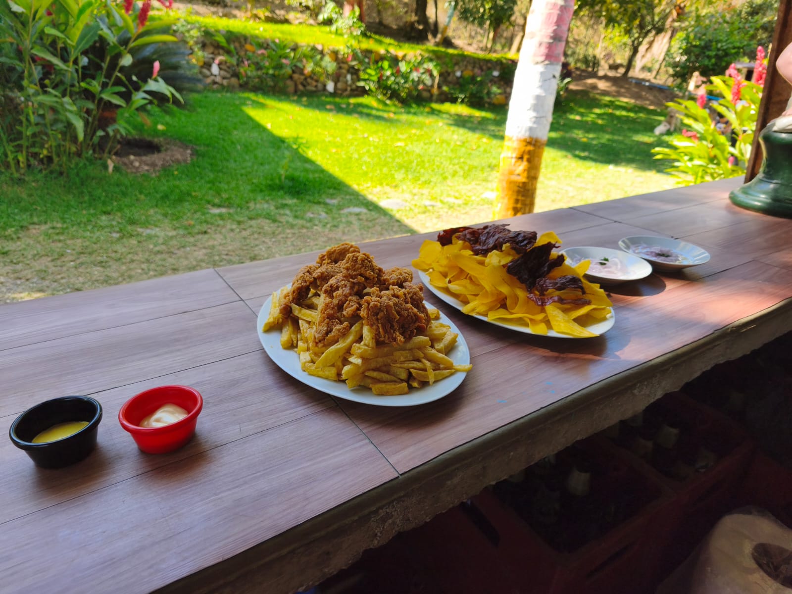 Gastronomía Amazónica & Criolla